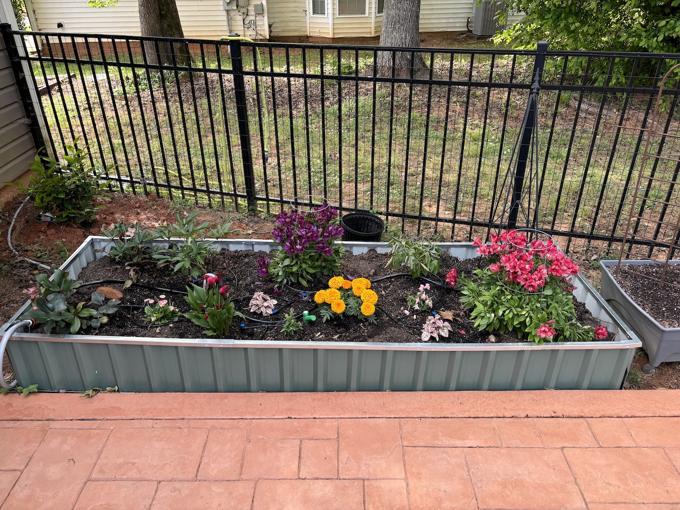Our raised flower bed
