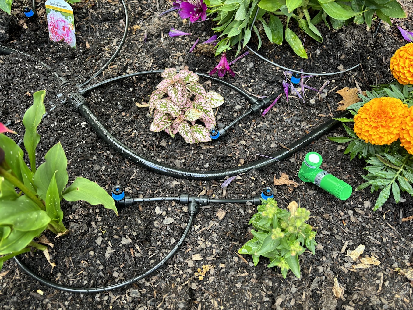 Photo of flower bed with sprinklers off