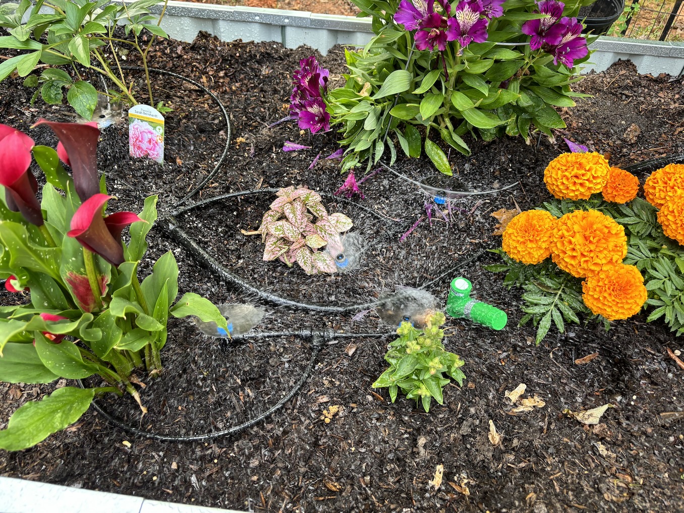 Photo of flower bed with sprinklers on